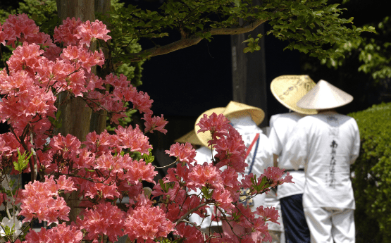 四国八十八ヶ所 「分国まいり」